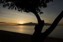 HoneyMoon 435.jpg